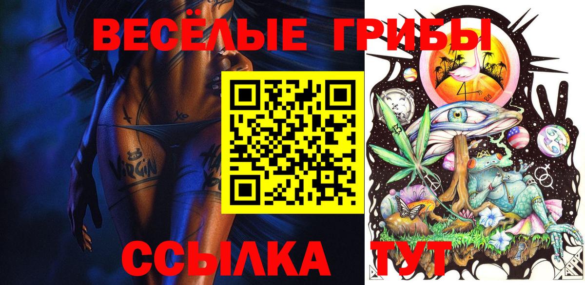 Галлюциногенные грибы Psilocybe Волжский